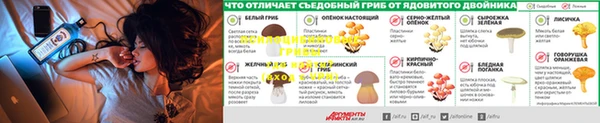 гидропоника Надым