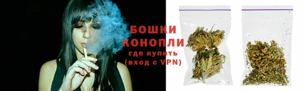 шишки Наволоки