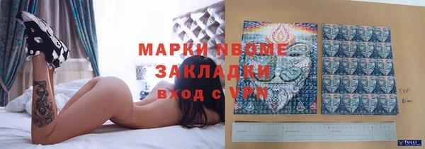 шишки Наволоки