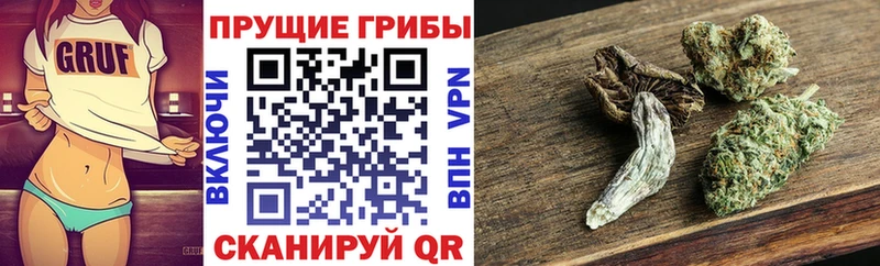 Галлюциногенные грибы MAGIC MUSHROOMS  Купить  Олонец 