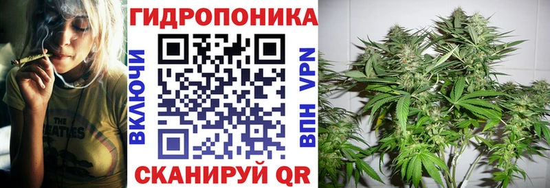 Канабис MAZAR  Купить где  Олонец 